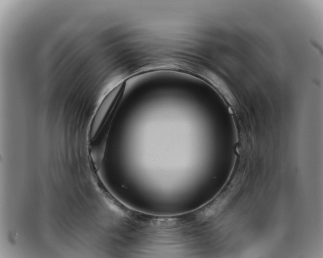 X0000096460858200801311510