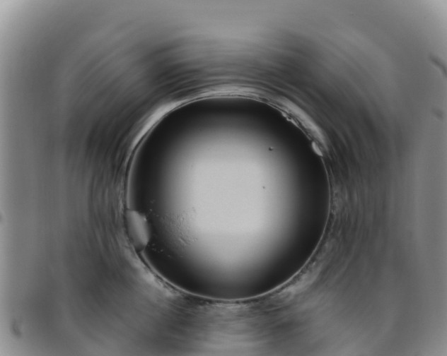 X0000096460860200801311510
