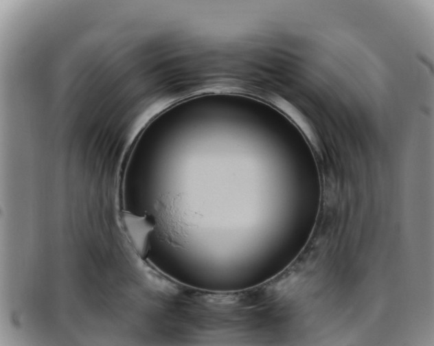 X0000096460861200801311510