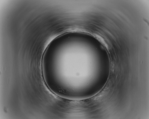 X0000096460863200801311511