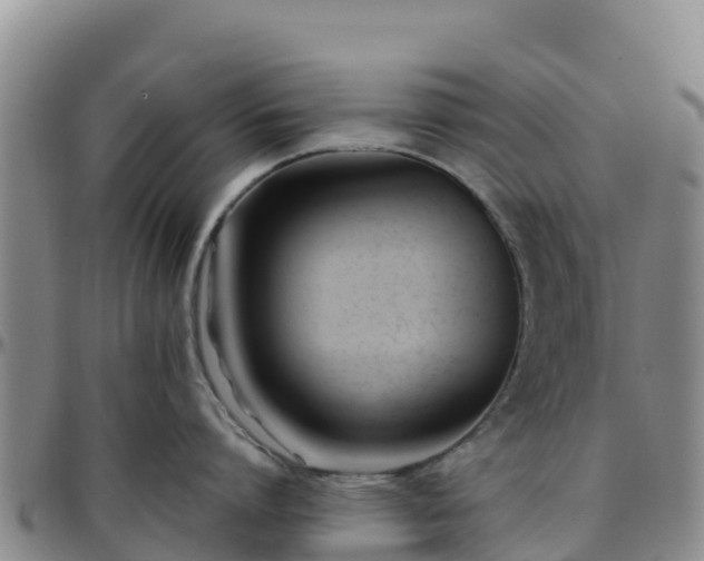 X0000096460864200801311511