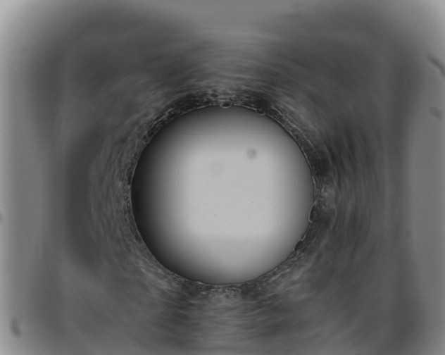 X0000096460865200801311510