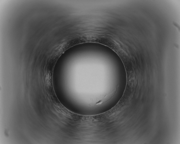 X0000096460866200801311510