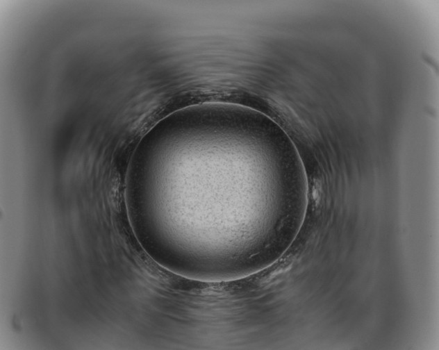 X0000096460867200801311510