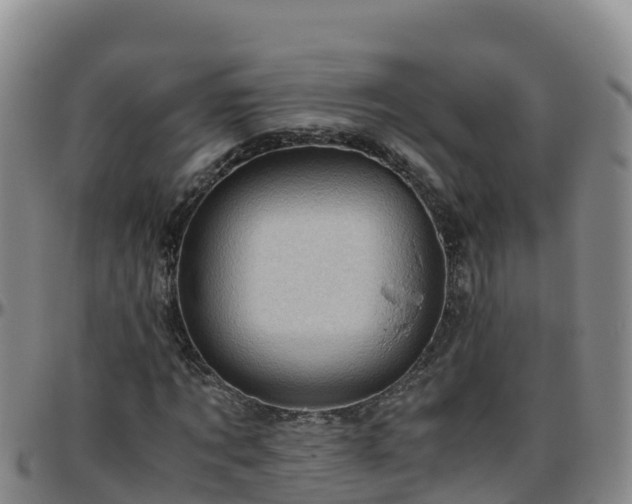 X0000096460869200801311510