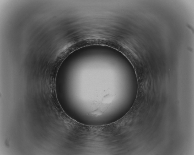 X0000096460870200801311510