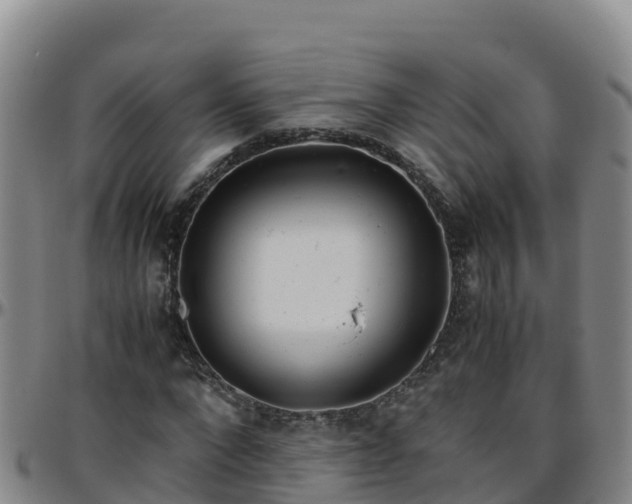 X0000096460872200801311510