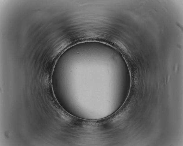X0000096460873200801311510