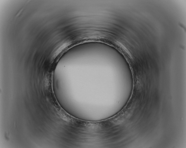 X0000096460874200801311510