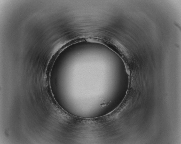 X0000096460876200801311510