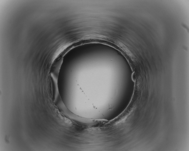X0000096460877200801311510