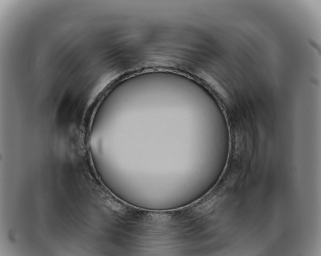X0000096460878200801311510