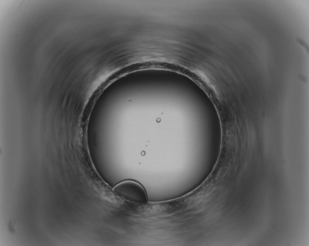 X0000096460879200801311510