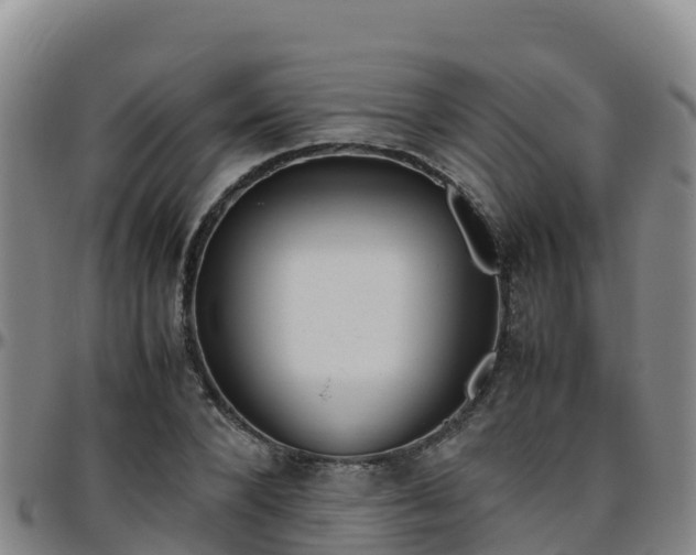 X0000096460880200801311510
