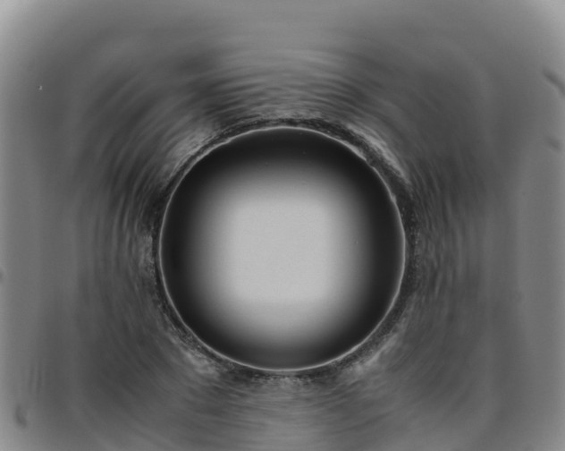 X0000096460881200801311510
