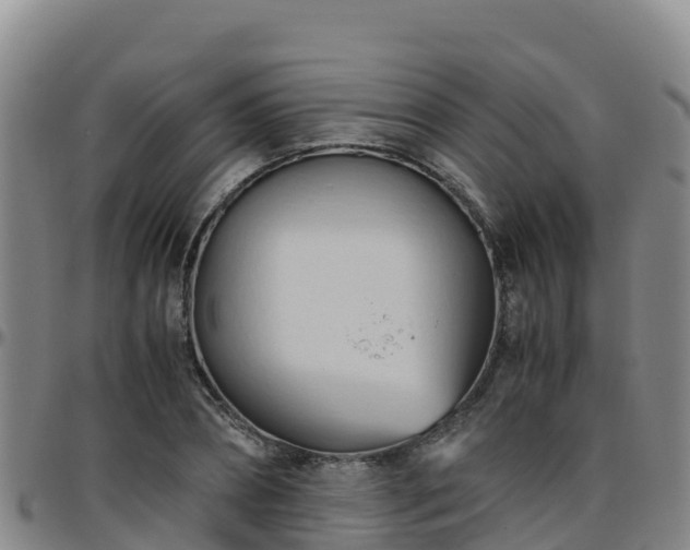 X0000096460882200801311510
