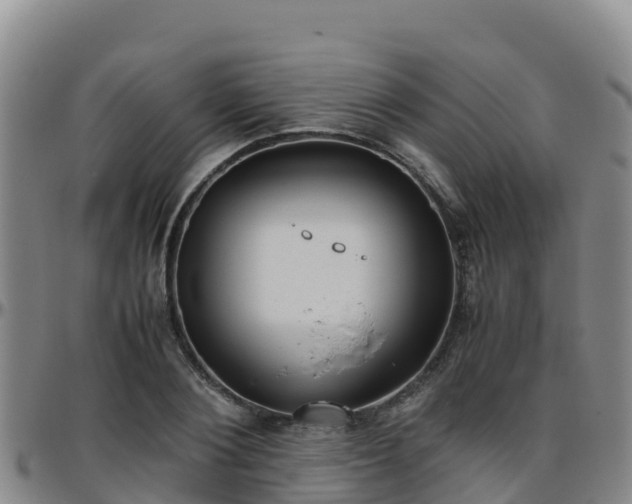 X0000096460884200801311510