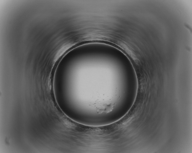 X0000096460885200801311510