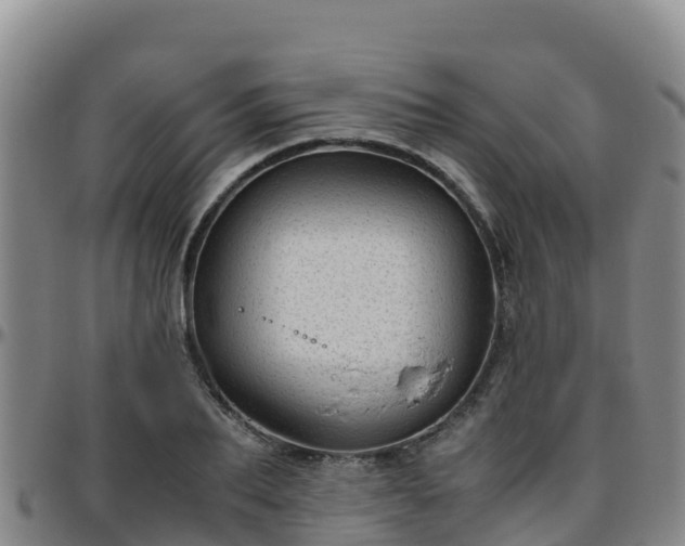 X0000096460887200801311510
