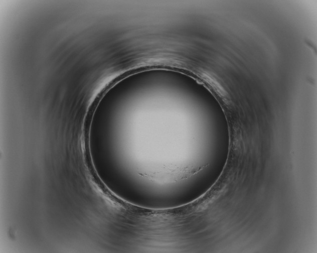 X0000096460888200801311510