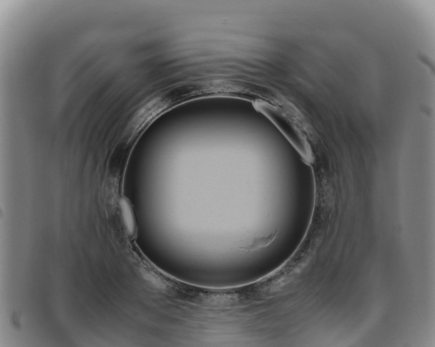 X0000096460889200801311510