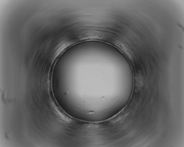 X0000096460890200801311510