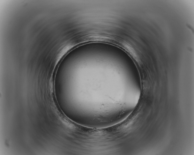 X0000096460891200801311510