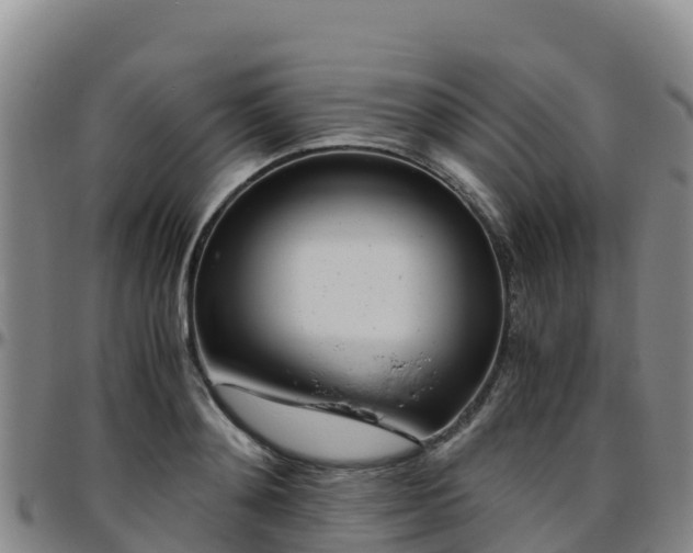 X0000096460892200801311510