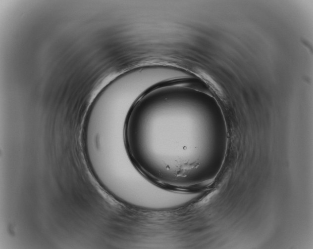 X0000096460893200801311509