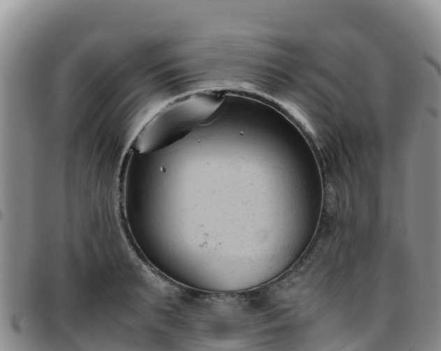 X0000096460895200801311509