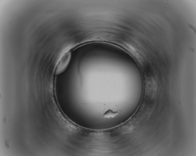 X0000096460896200801311509