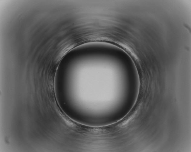 X0000096460897200801311509