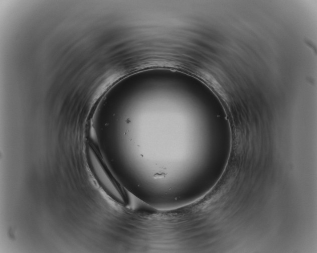 X0000096460898200801311509