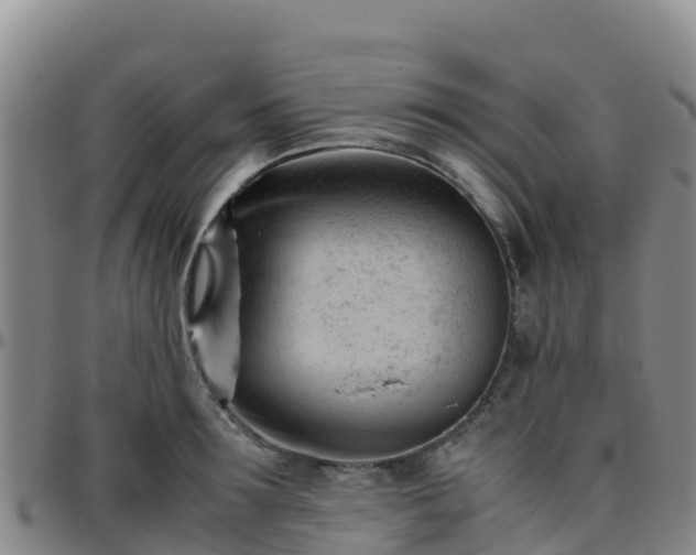 X0000096460899200801311509