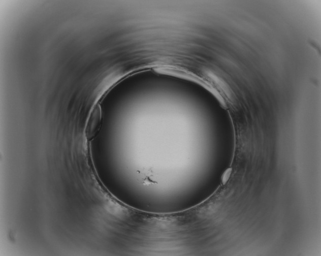 X0000096460900200801311509