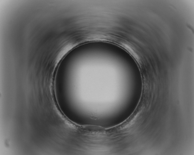 X0000096460901200801311509