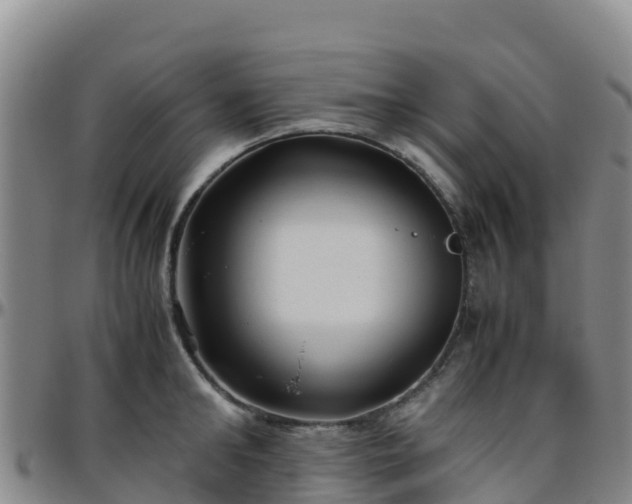 X0000096460902200801311509