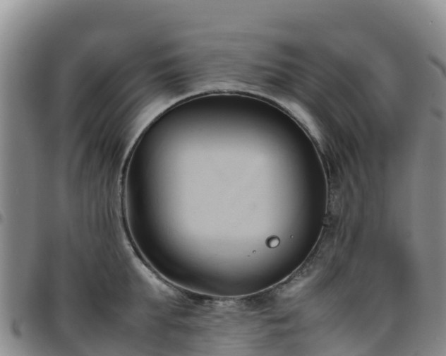 X0000096460903200801311509