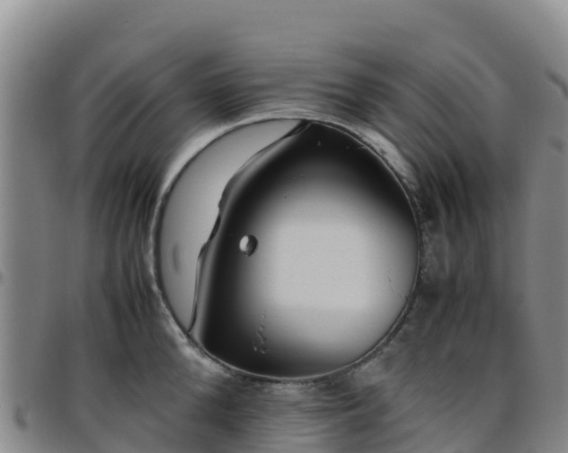X0000096460904200801311509