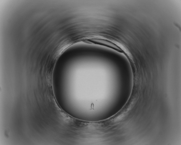 X0000096460905200801311509
