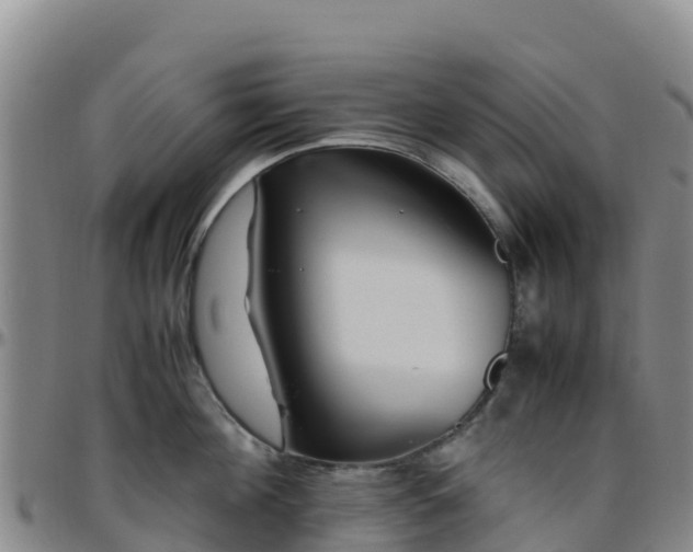 X0000096460908200801311509