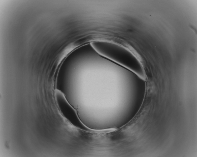 X0000096460909200801311509