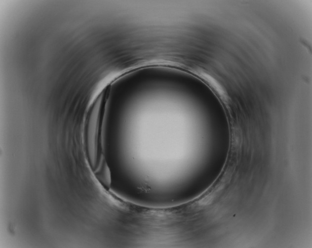 X0000096460910200801311509