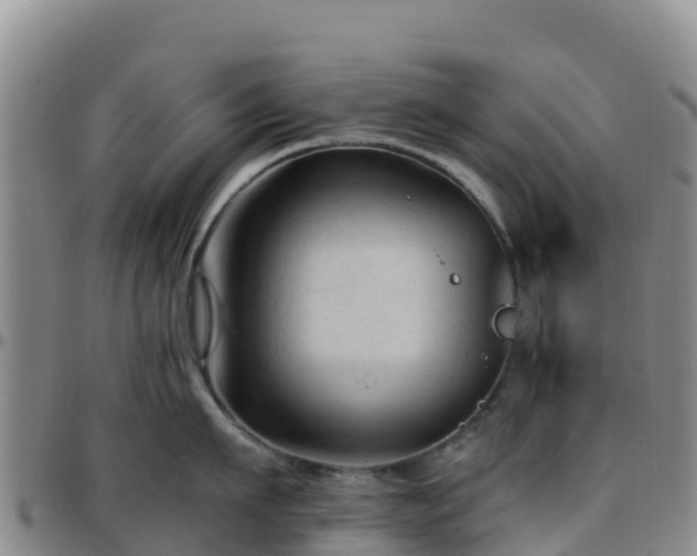 X0000096460911200801311509