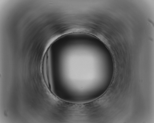 X0000096460912200801311509