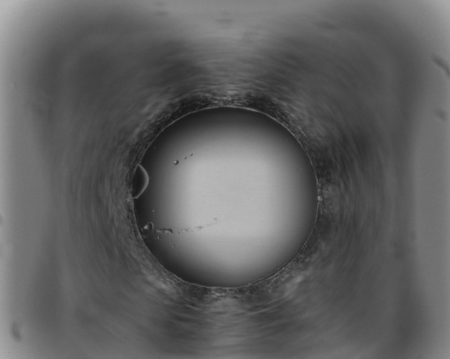 X0000096460913200801311509