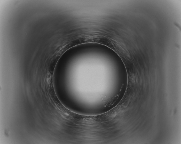 X0000096460914200801311509