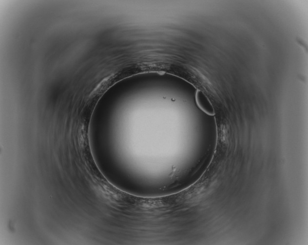 X0000096460915200801311509