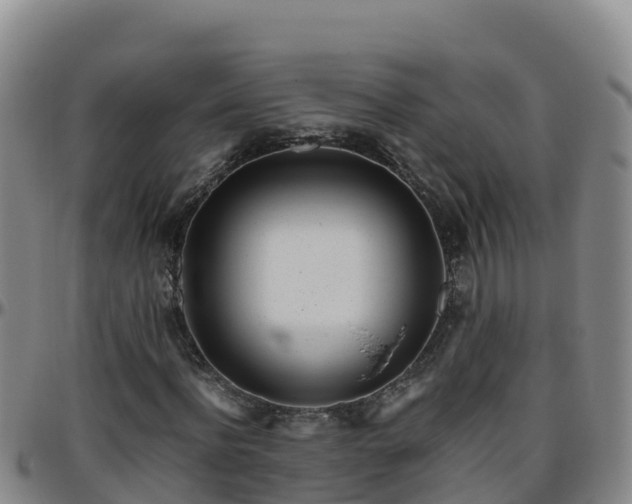 X0000096460916200801311509