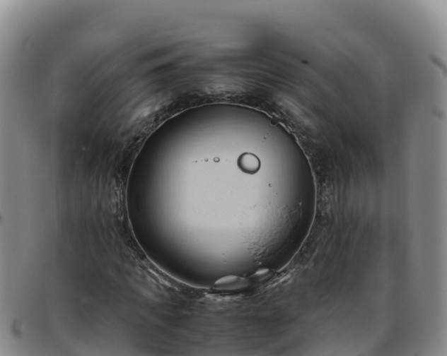 X0000096460917200801311509